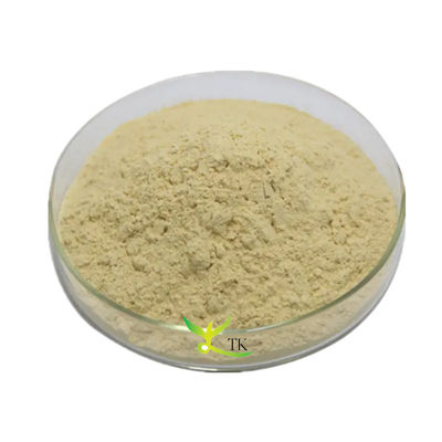 Best Quality 85% Baicalin Baikal Skullcap Root Extract Baicalin Powder Price