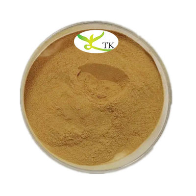 Natural Plant Extract Horse Chestnut Seed Extract Horse Chestnut Extract 20-40 % Aescin
