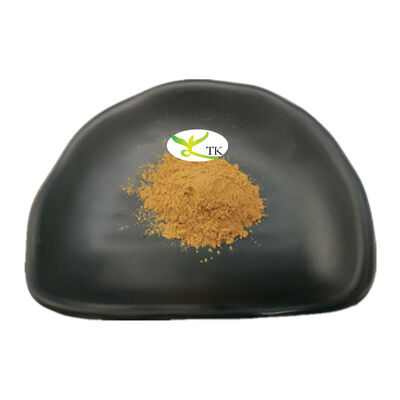 Wholesale Price Natural Paullinia Cupana Seed Extract Powder Water Soluble