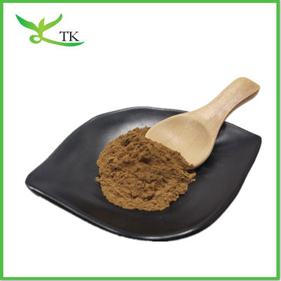 Φυσικό μανιτάρι Lingzhi Shell σπασμένο Ganoderma Lucidum Reishi σπόρους σκόνη