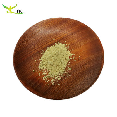 Φυσικό συμπλήρωμα CAS 153-18-4 Rutin Sophora Japonica Εκχύλισμα σκόνης 95% Rutin Powder