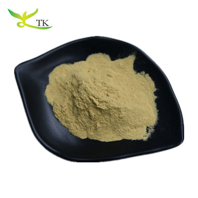 ISO Factory Extract Olive Leaf Extract Powder Ολεανολικό οξύ Μασλινικό οξύ Ολεουροπεΐνη Υδροξυτυροσόλη
