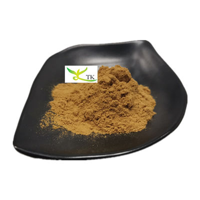 100% φυσικό εκχύλισμα μανιταριού Osyter σκόνη Pleurotus Ostreatus εκχύλισμα