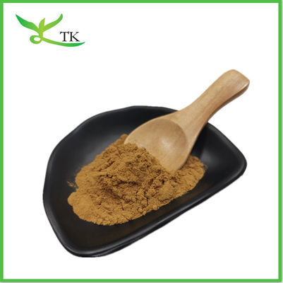 Εκχύλισμα Cistanche Tubulosa Powder 50% εχινακοσίδιο+10% βερβακοσίδιο