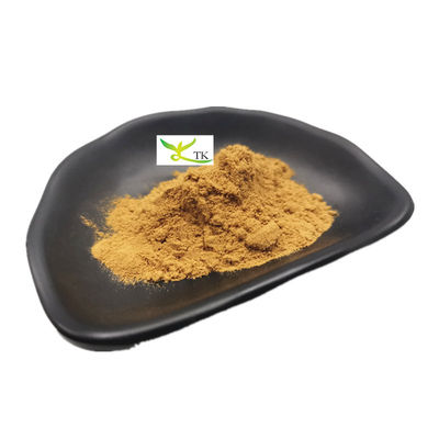 Φυσικό εκχύλισμα Astragalus Membranaceus Astragaloside IV Cycloastragenol Powder