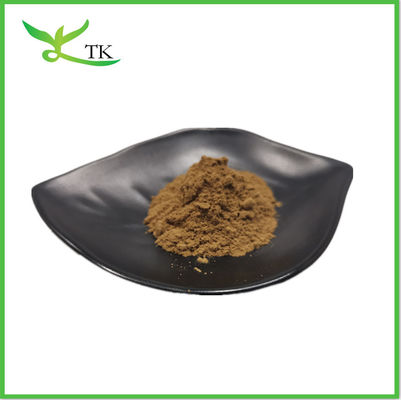Συμπλήρωμα Cistanche Tubulosa Extract Powder 50% Εχινακοσίδη + 10% Βερβακοσίδη