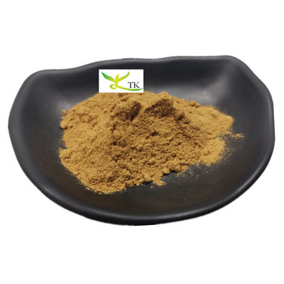 Χονδρική προσφορά φυσικού Nasturtium Officinale Watercress Extract 10:1 Watercress powder