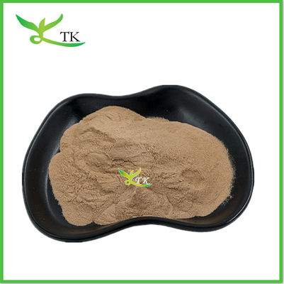 Χύδης Lentinus Edodes Εκχύλισμα Μανιτάρια Shiitake Εκχύλισμα σκόνη Μανιτάρια Shiitake