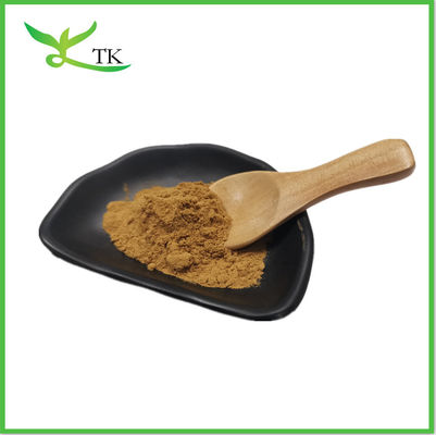 Cordyceps Sinensis 40% Πολυσακχαρίδιο Cordycepic Acid Cordyceps Sinensis Εκχύλισμα