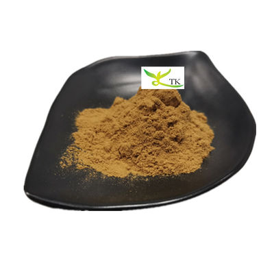 Χονδρική τιμή Φυσική Lobelia Herb Extract Powder Lobelia Leaf Extract 10:1 Powder
