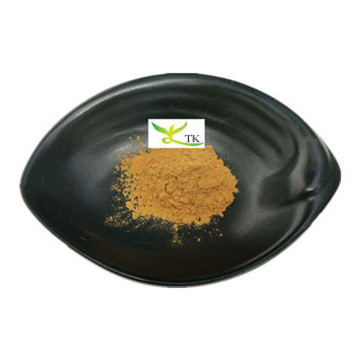 Εμπορευματική τιμή Φυσική Πορτολάκα Oleracea Purslane Herbs Extract Powder Purslane Extract 10:1