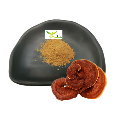 Χονδρικό Ganoderma Lucidum Extract Reishi Mushroom Extract Powder Πολυσακχαρίτες 30%