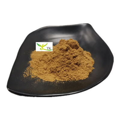Φυσικό YU XING CAO Houttuynia Cordata εκχύλισμα σκόνη Heartleaf Houttuynia Herb Extract P.E.