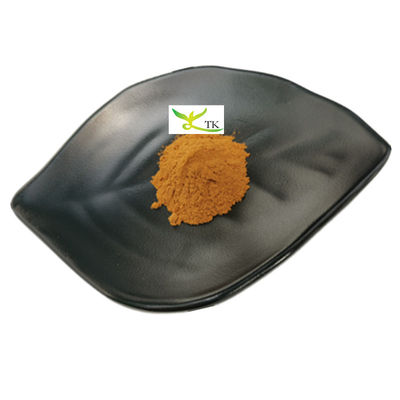 Πολυπωλητική τιμή 100% φυσικό εκχύλισμα Boletus Edulis Penny Bun Extract Powder