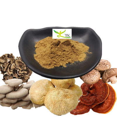 Ιδιωτική Ετικέτα Τουρκία Κροιά Chaga Cordyceps Μανιτάρι Καφέ Λιονταριό Μανιτάρι Καφέ Σκόνη