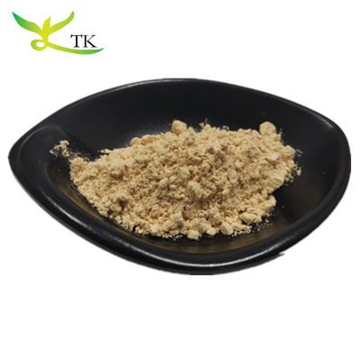Ανώτατη ποιότητα 100% καθαρό φυσικό Panax Ginseng Extrct Ginsenosides Powder 10%~80%