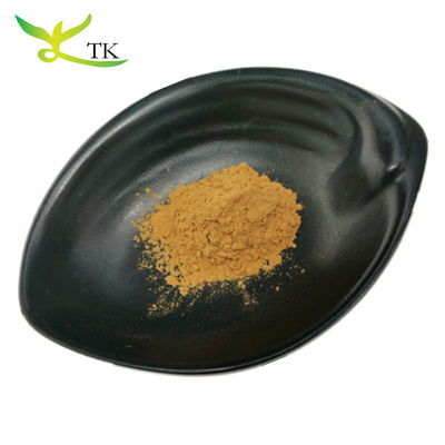100% φυσικό κινεζικό φυτικό εκχύλισμα Astragalus root extract Powder Huangqi extract powder
