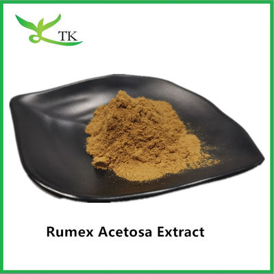Πολυμελή τιμή 100% φυσικό φυτικό εκχύλισμα Rumex Acetosa L. Εκχύλισμα σε σκόνη