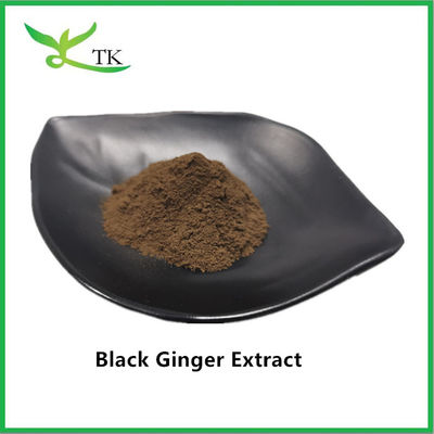 Καθαρό φυσικό υγειονομικό συστατικό Black Ginger Extract Powder for Men