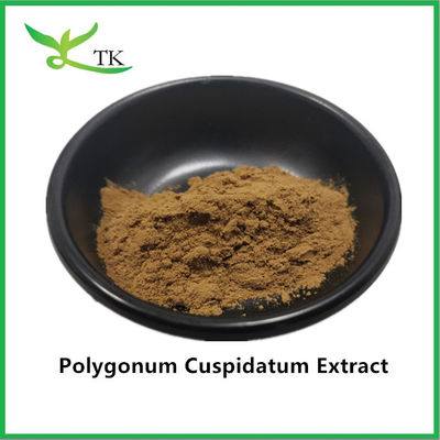 Καθαρό φυσικό φυτικό εκχύλισμα Giant Knotweed Polygonum Cuspidatum εκχύλισμα 20% ρεσβερατρόλη
