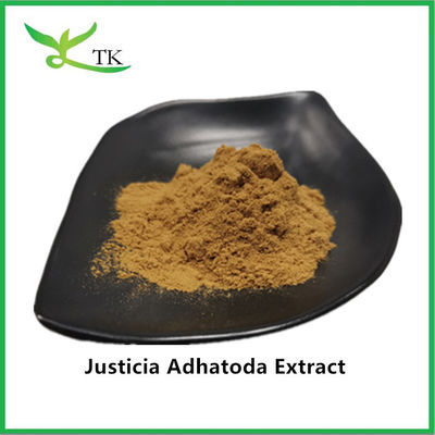 100% φυσικό εκχύλισμα Justicia Adhatoda σκόνη Adhatoda Vasica εκχύλισμα 10:1