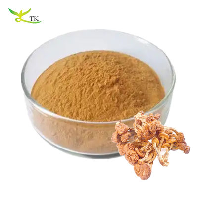 Τροφική ποιότητα Καθαρή φυσική Pholiota Nameko Εκχύλισμα Πολυσακχαριδίων σκόνη