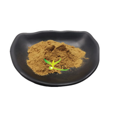 100% φυσική διατροφική ποιότητα Salsola Collina εκχύλισμα Salsola Collina τιμή σκόνης