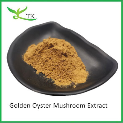 Φυσικό συμπλήρωμα μανιταριών Pleurotus Citrinopileatus Χρυσό στρείδι
