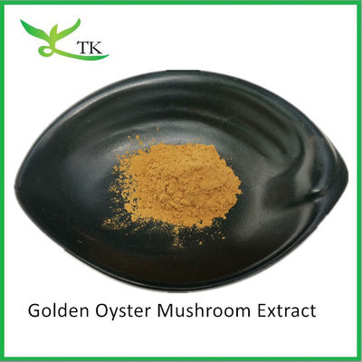 Πολυσακχαρίτες φυσικών μανιταριών Pleurotus Citrinopileatus Εκχύλισμα σκόνης Citrine Pleurotus Εκχύλισμα