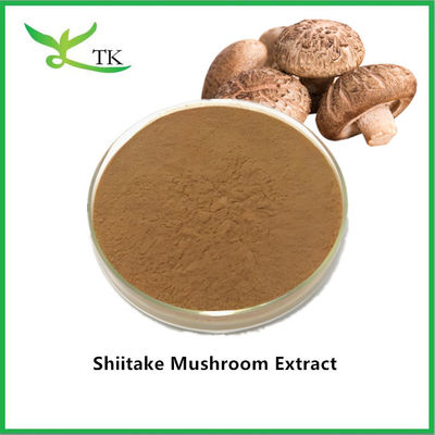 Χονδρική Τιμή Εκχυλίσματος Μανιταριού Shiitake σε Σκόνη, Φυσικό Συμπλήρωμα