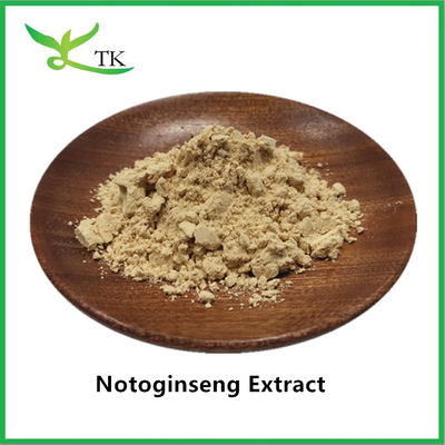 Χονδρική τιμή Φυσικό φυτικό εκχύλισμα Notoginseng Εκχύλισμα σκόνης Panax Notoginseng Εκχύλισμα