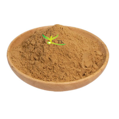 Φυσικό φυτικό εκχύλισμα Platycladus Orientalis Leaf Extract Powder για τη φροντίδα των μαλλιών