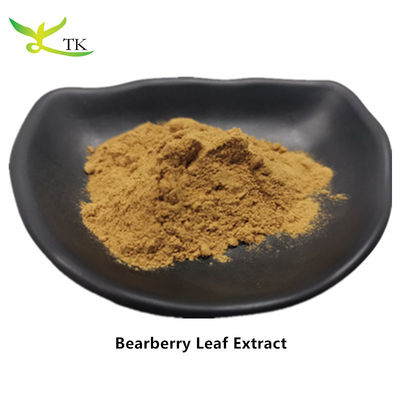 Φυσικό εκχύλισμα φυτού, εκχύλισμα φύλλων Bearberry, εκχύλισμα φύλλων Arctostaphylos Uva Ursi, σκόνη