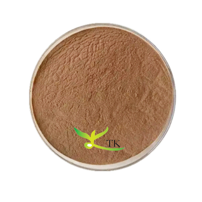 Εργοστασιακή Προμήθεια Φυσικού Εκχυλίσματος Λουλουδιού Camellia Japonica Εκχύλισμα Camellia σε Σκόνη