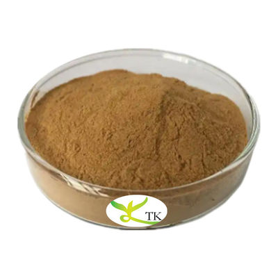 Τόνκινγκ Προμήθεια Φυσικό Κινέζικο Παραδοσιακό βότανο Εκχύλισμα ρίζας Isatis Isatis Tinctoria Εκχύλισμα σκόνη
