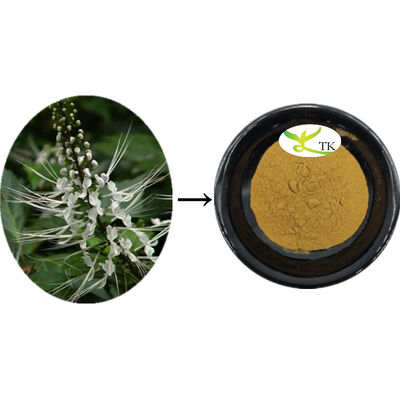 Φυσικό Εκχύλισμα Orthosiphon Aristatus, Εκχύλισμα Φύλλων Orthosiphon σε Σκόνη, Καθαρισμός Λίθων