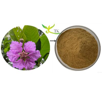 Φυσικό εκχύλισμα φυτού Lagerstroemia Speciosa, εκχύλισμα φύλλων Banaba, εκχύλισμα Banaba, σκόνη κοροσολικού οξέος