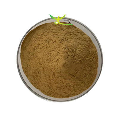 Factory Supply Εκχύλισμα Bacopa Monnieri 40% Bacopasides Powder Εκχύλισμα Brahmi σε σκόνη