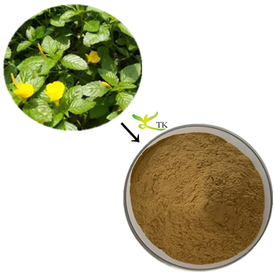Υψηλής ποιότητας Damiana Extract Powder 20:1 Damiana Powder Extract Καψάκια