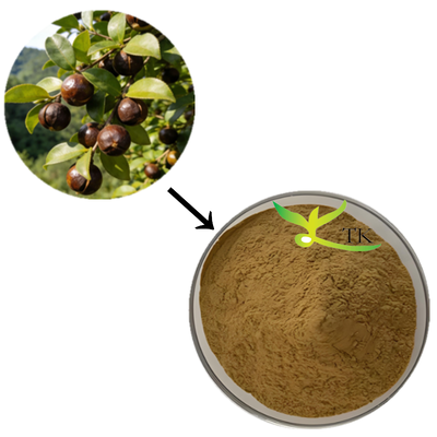 Χονδρική Τιμή 100% Φυσικό Εκχύλισμα Camellia Sinensis σε Σκόνη Εκχύλισμα Σαπωνίνης Τσαγιού για Καλλυντικά
