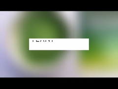 Χονδρική πώληση Moringa Oleifera Tea Powder Moringa Leaf Powder Καψάκια