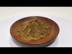 Χονδρική τιμή 100% Φυσικό Coptis Chinensis Εκχύλισμα 10:1 20:1 σε απόθεμα