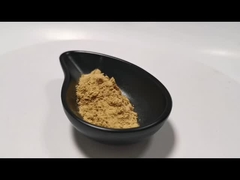 Φυσικό φυτικό εκχύλισμα σκόνη Μανιτάρια Εκχύλισμα σκόνη