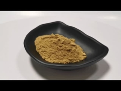 Εκχύλισμα Centella Asiatica