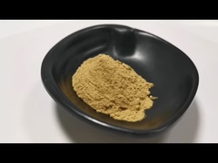 Απόσπασμα Aurantium εσπεριδοειδών