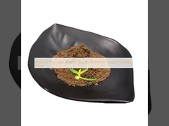 Φυσικό Fucoidan Powder Brown Seaweed Extract τιμή Fucoidan