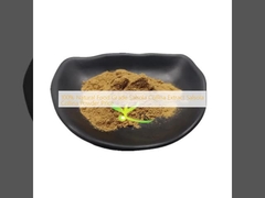 100% φυσική διατροφική ποιότητα Salsola Collina εκχύλισμα Salsola Collina τιμή σκόνης