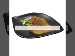 100% φυσικό εκχύλισμα φρούτου Schisandrae σκόνη εκχύλισμα Schisandra Chinensis τιμή