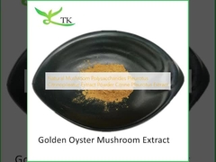 Πολυσακχαρίτες φυσικών μανιταριών Pleurotus Citrinopileatus Εκχύλισμα σκόνης Citrine Pleurotus Εκχύλισμα