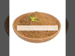 Φυσικό φυτικό εκχύλισμα Platycladus Orientalis Leaf Extract Powder για τη φροντίδα των μαλλιών